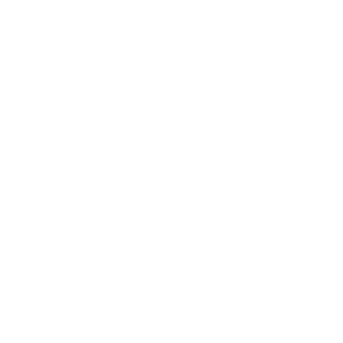 SDG Icon for Human Resources
