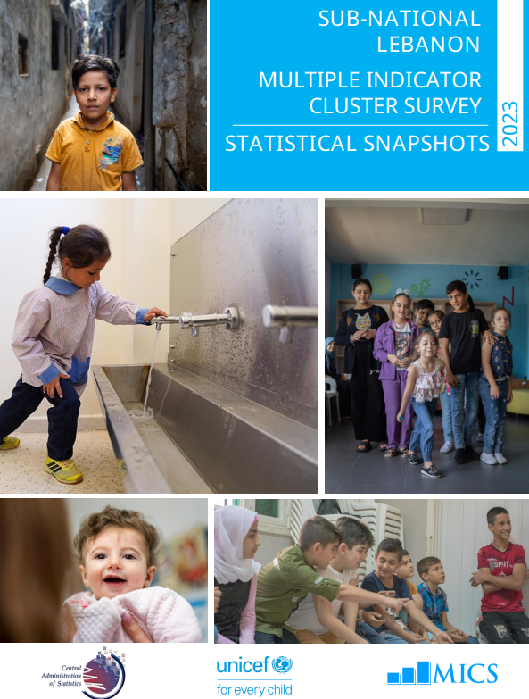 Sub-National Lebanon Multiple Indicator Cluster Survey 2023: Statistical Snapshots