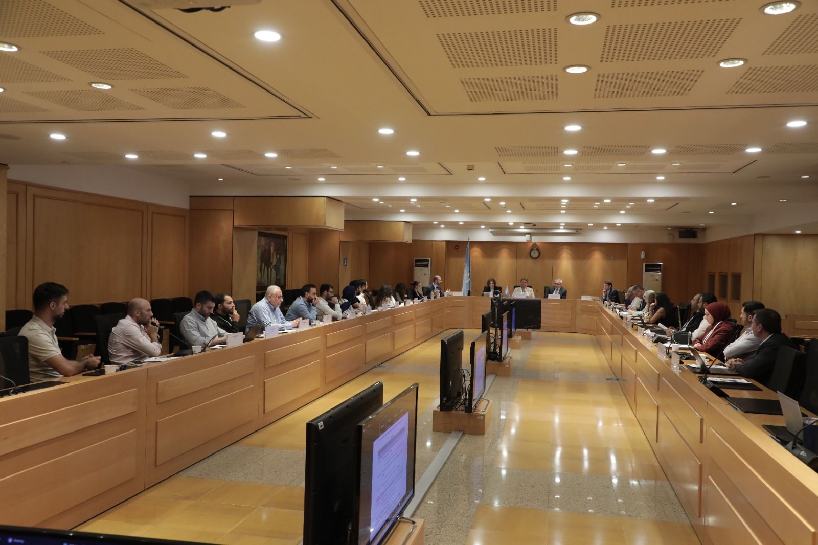 CAS Participates in National Consultation on Solar Energy Access with ESCWA & CNRS-L