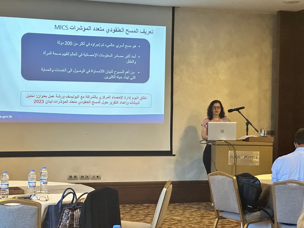 CAS Presents Preliminary Findings of MICS6 Lebanon 2023 at Validation Workshop with UNICEF